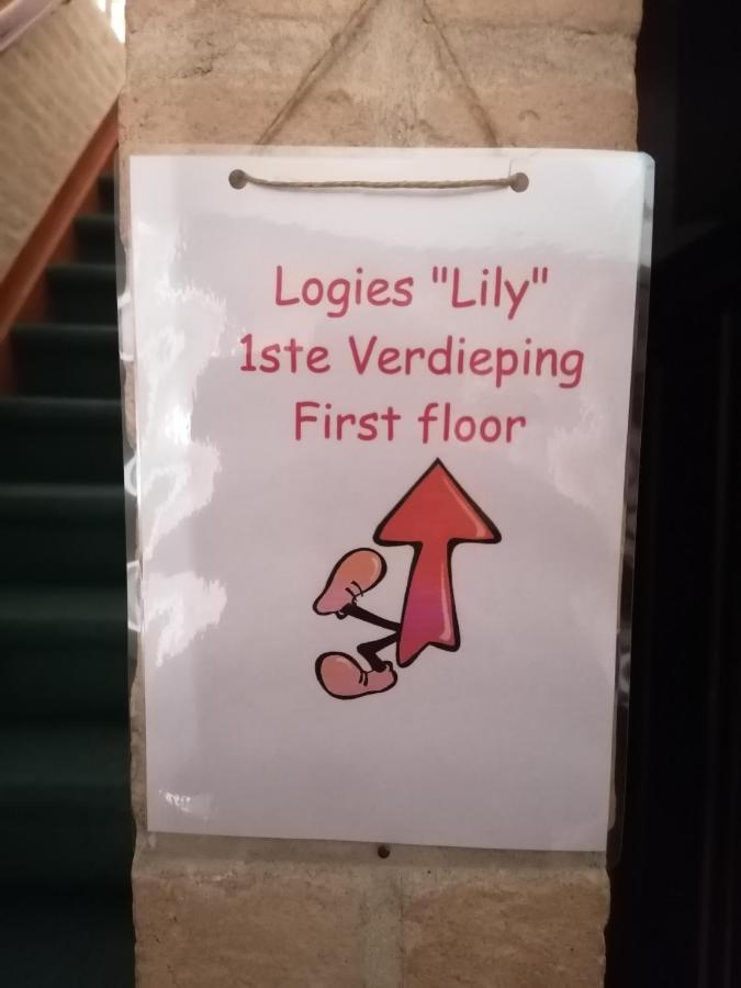 شقة Logies Lily Oudenburg المظهر الخارجي الصورة
